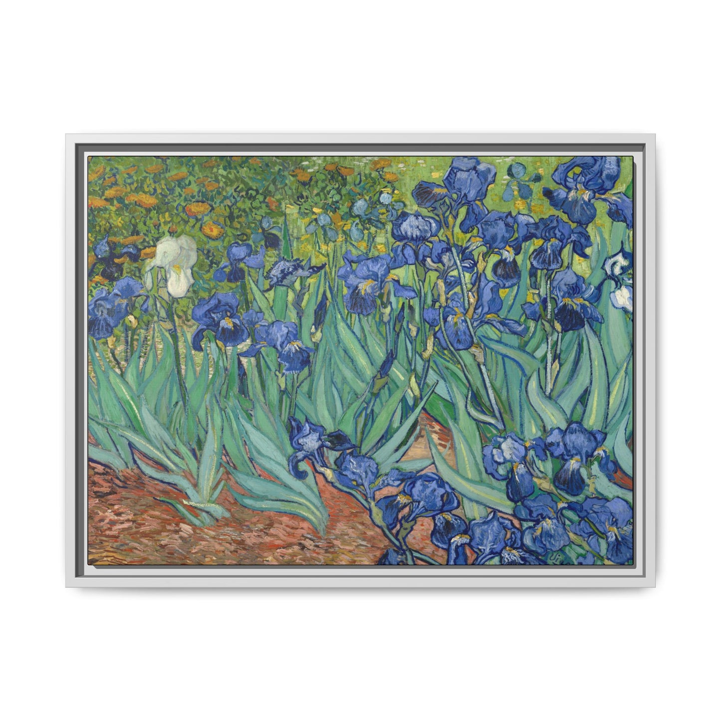 Van Gogh, Vincent - Irises (1889) - Matte Canvas, Framed