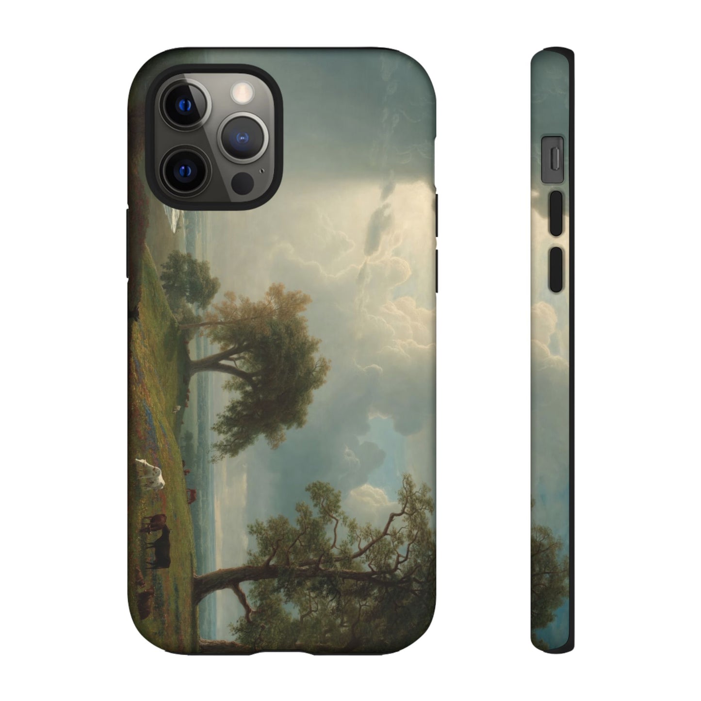 Bierstadt, Albert - California Spring (1875) - Tough Phone Cases