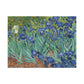 Van Gogh, Vincent - Irises (1889) - Canvas Block, unframed