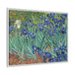 Van Gogh, Vincent - Irises (1889) - Matte Canvas, Framed