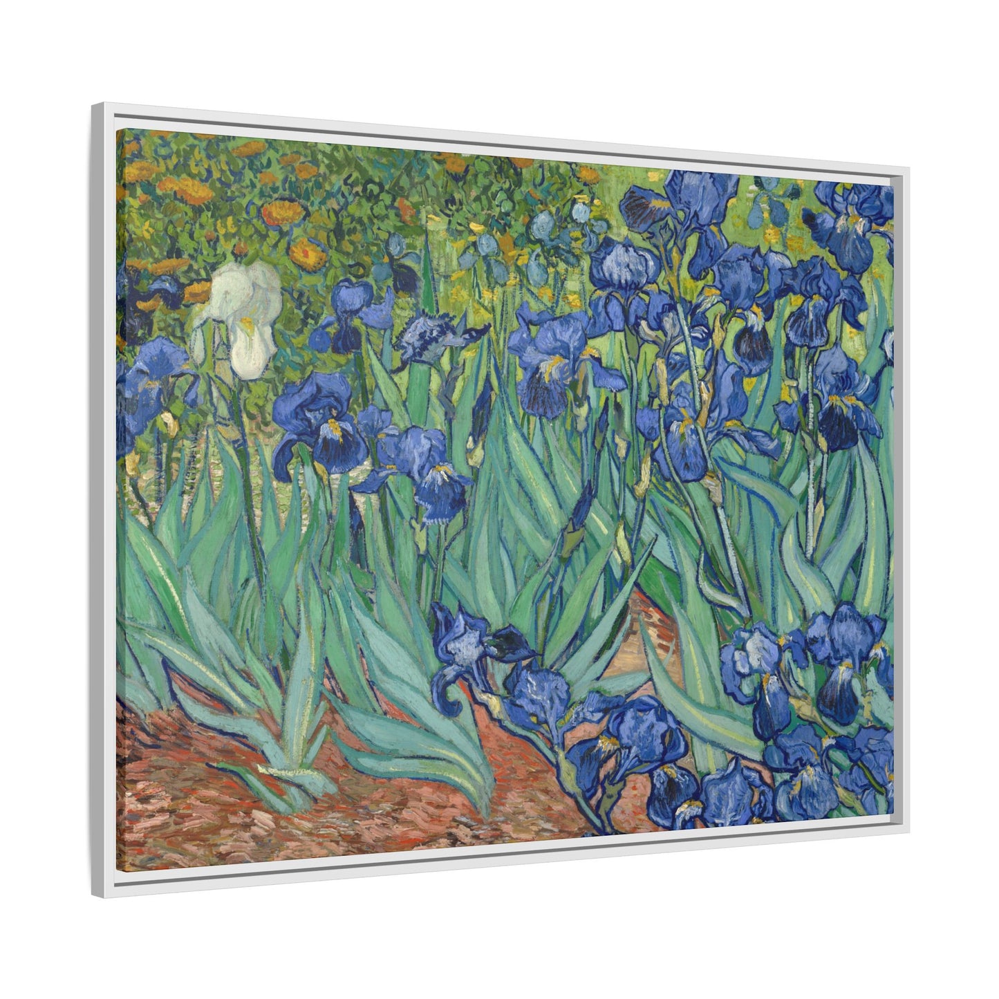 Van Gogh, Vincent - Irises (1889) - Matte Canvas, Framed