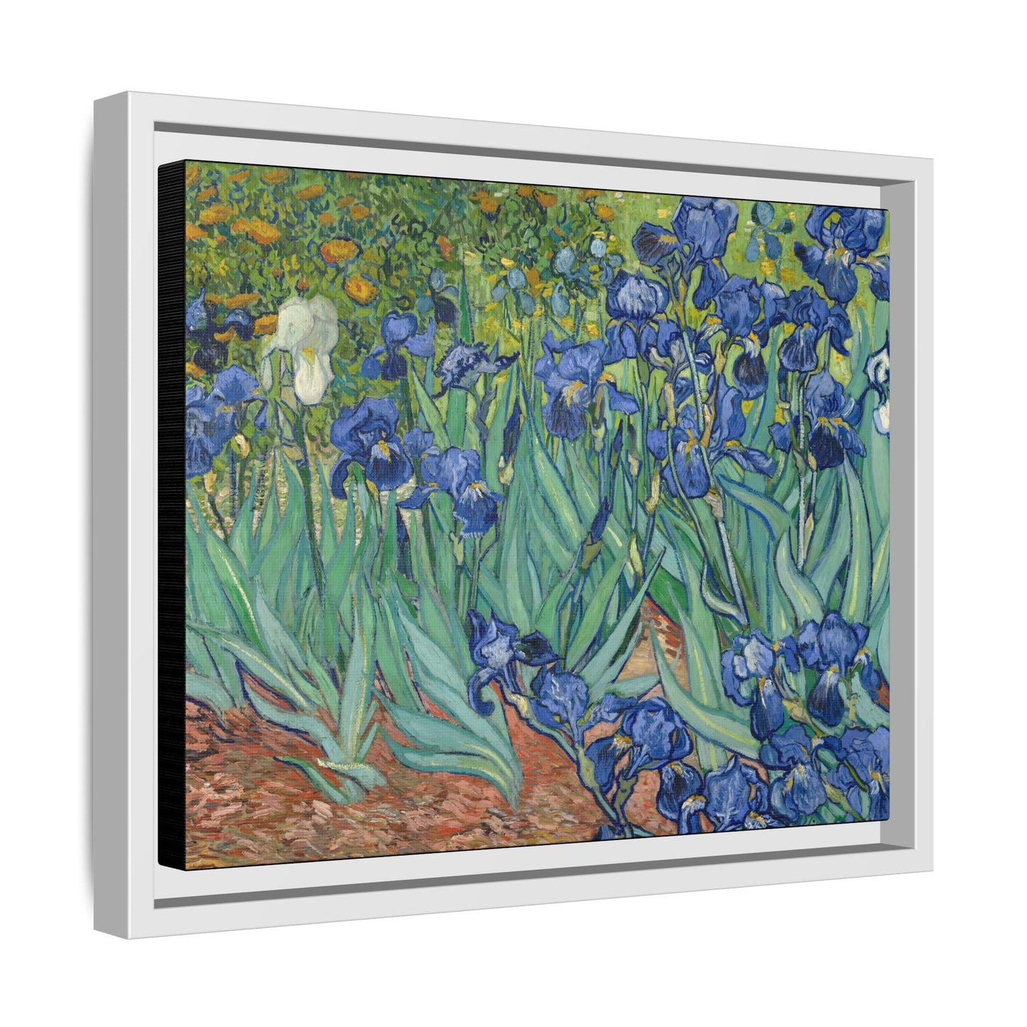 Van Gogh, Vincent - Irises (1889) - Matte Canvas, Framed