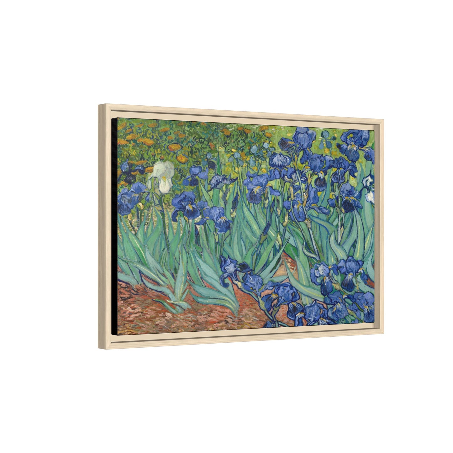 Van Gogh, Vincent - Irises (1889) - Matte Canvas, Framed