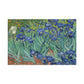 Van Gogh, Vincent - Irises (1889) - Canvas Block, unframed