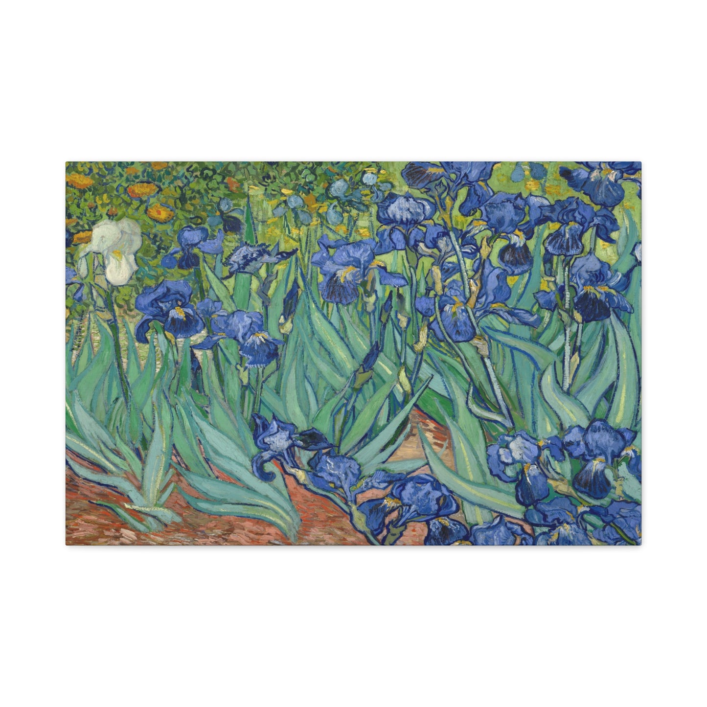 Van Gogh, Vincent - Irises (1889) - Canvas Block, unframed
