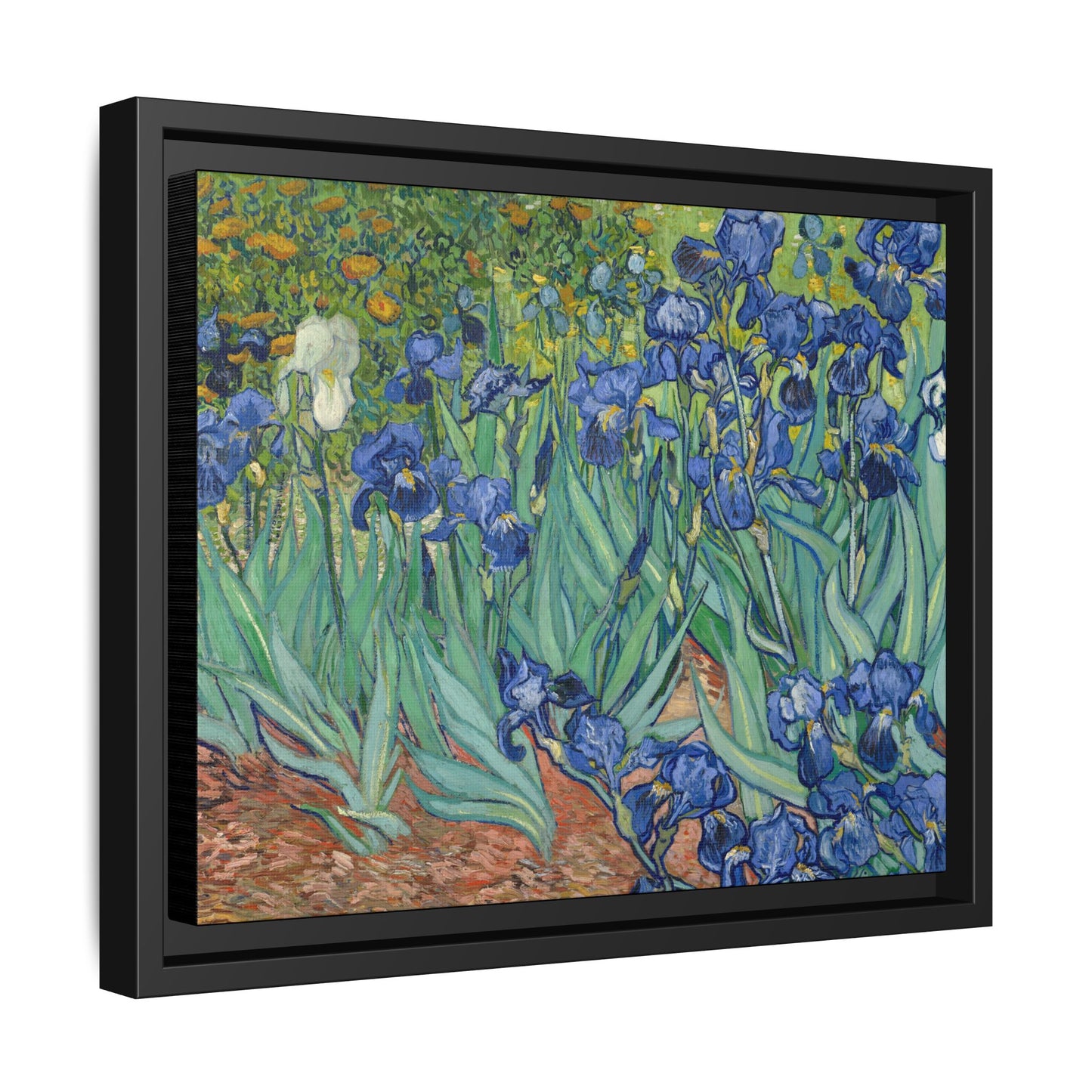 Van Gogh, Vincent - Irises (1889) - Matte Canvas, Framed