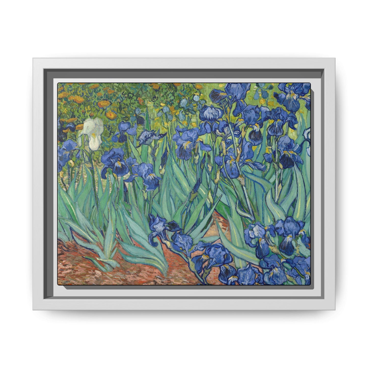 Van Gogh, Vincent - Irises (1889) - Matte Canvas, Framed