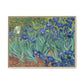 Van Gogh, Vincent - Irises (1889) - Matte Canvas, Framed