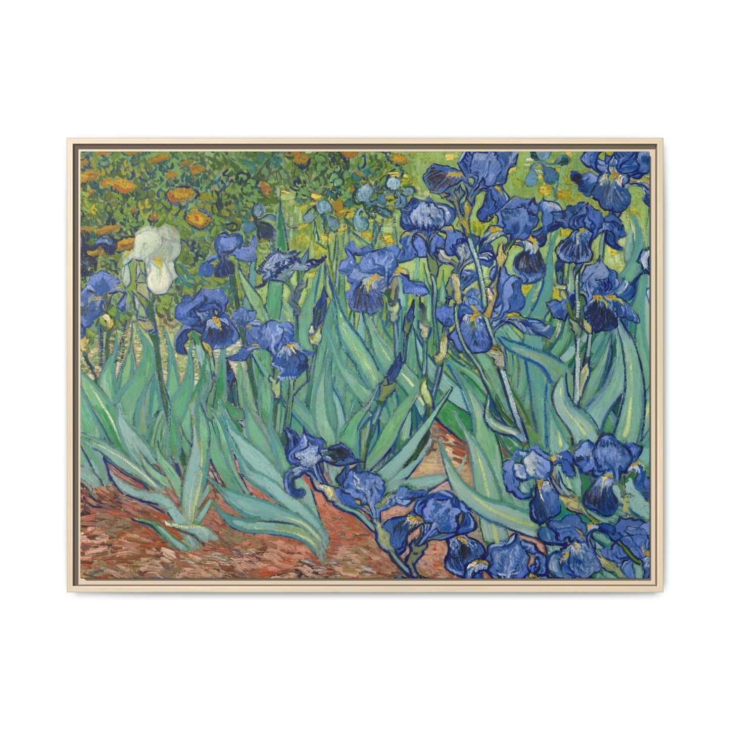 Van Gogh, Vincent - Irises (1889) - Matte Canvas, Framed