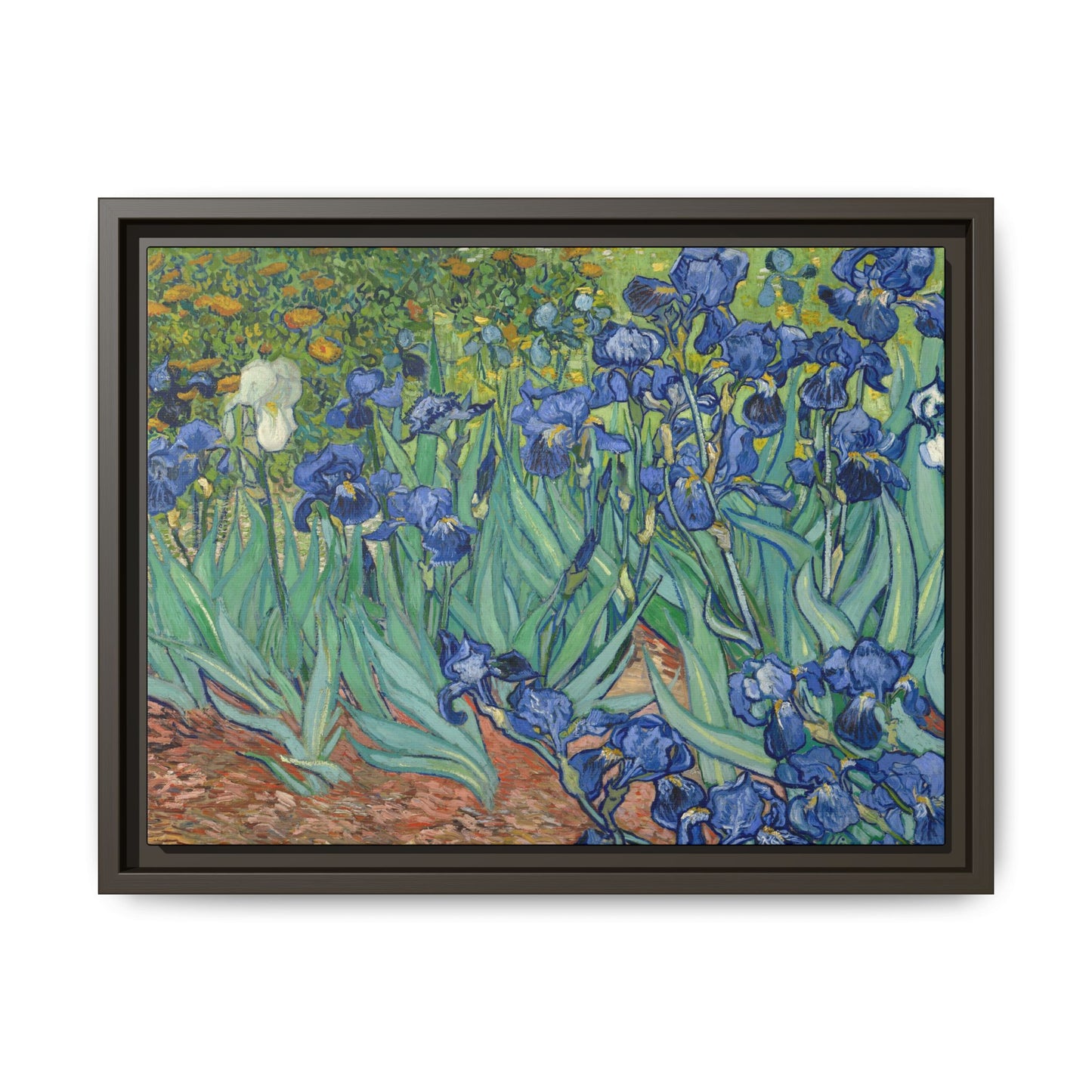 Van Gogh, Vincent - Irises (1889) - Matte Canvas, Framed
