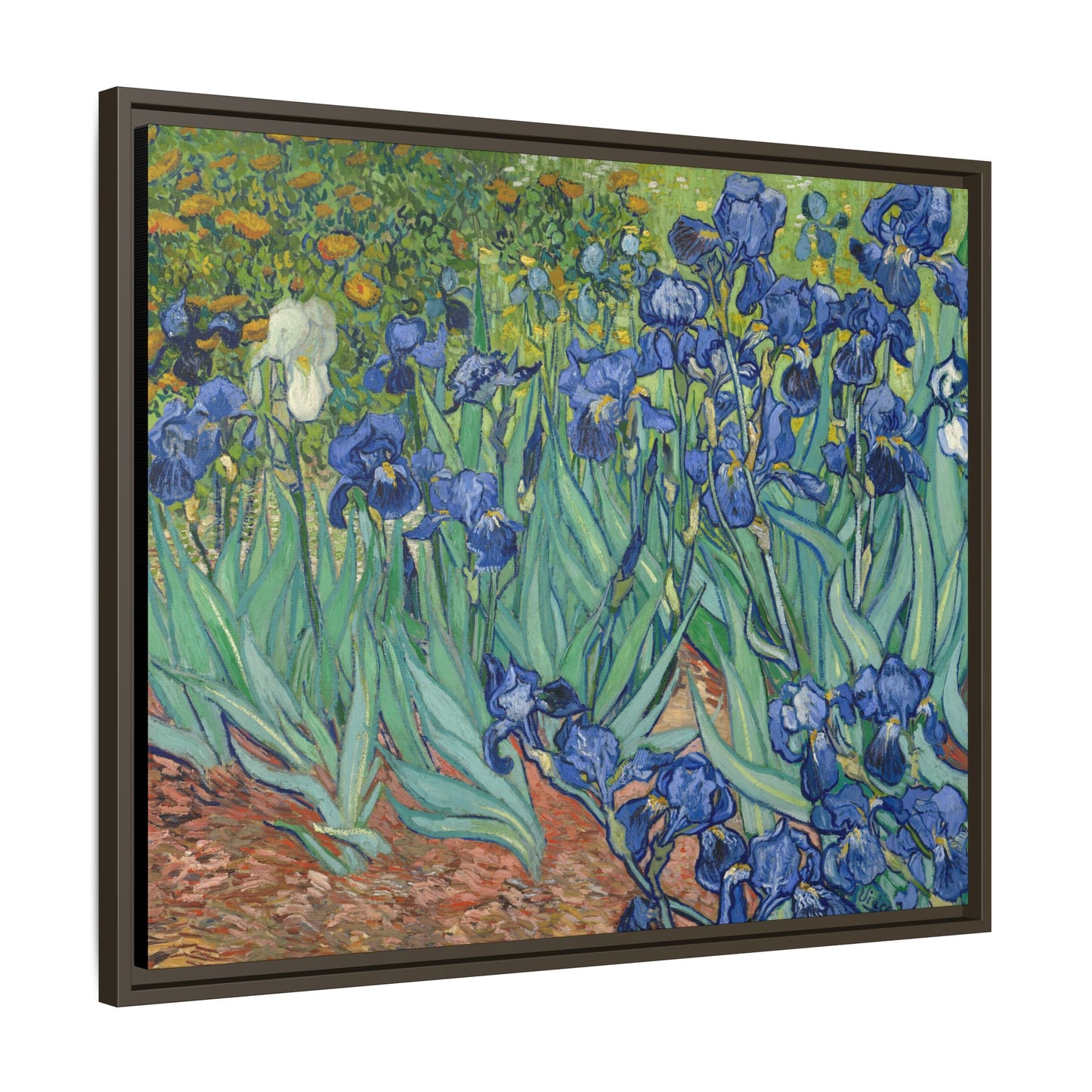 Van Gogh, Vincent - Irises (1889) - Matte Canvas, Framed