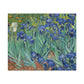 Van Gogh, Vincent - Irises (1889) - Canvas Block, unframed