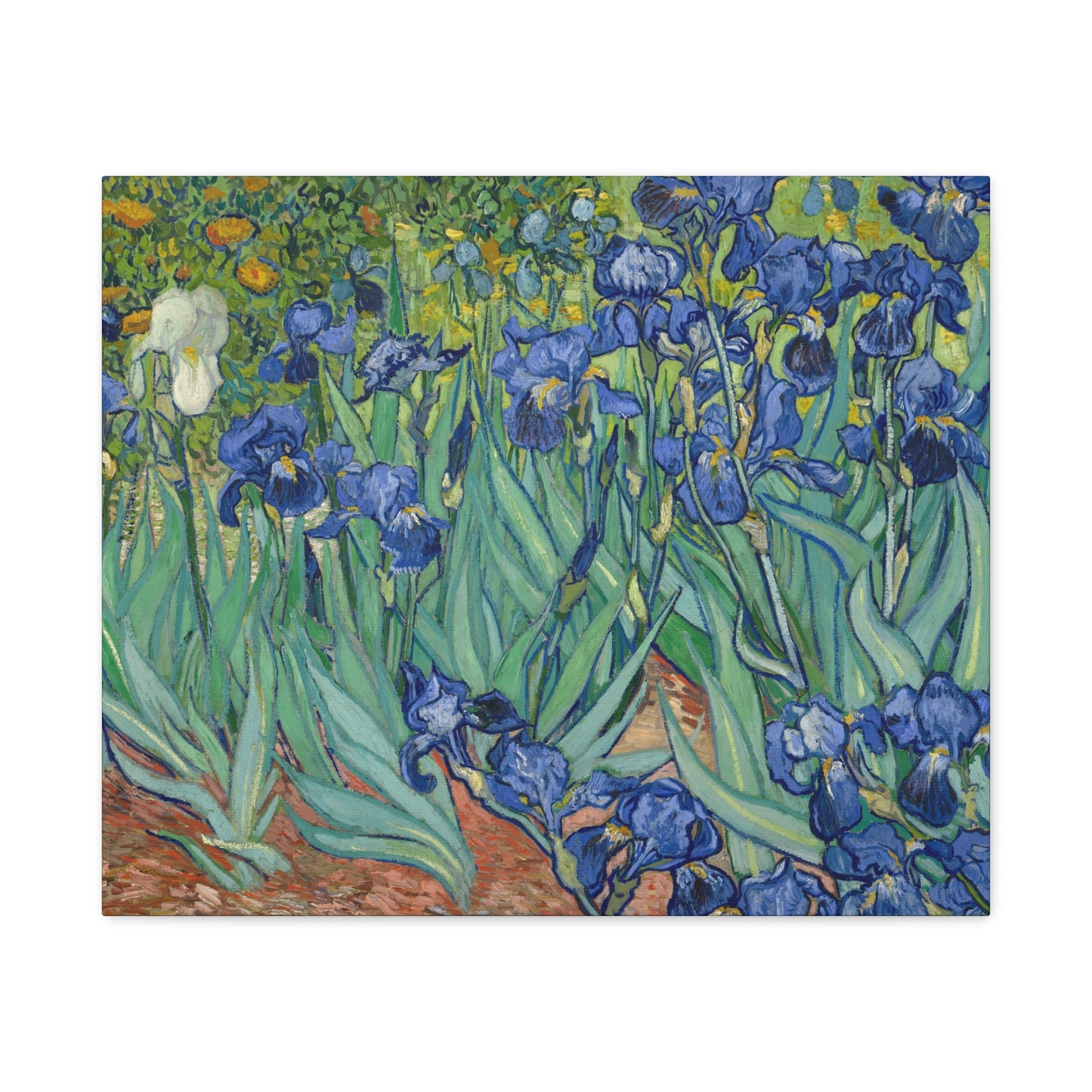 Van Gogh, Vincent - Irises (1889) - Canvas Block, unframed