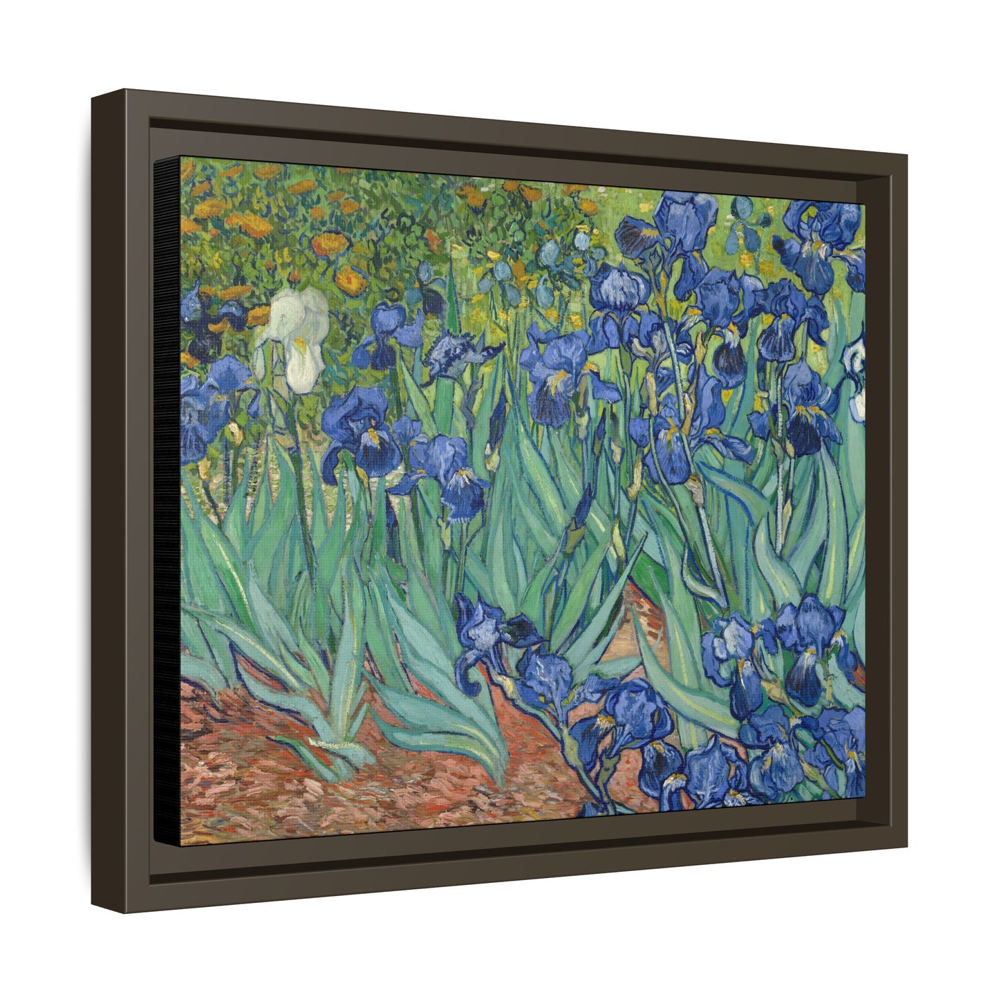 Van Gogh, Vincent - Irises (1889) - Matte Canvas, Framed