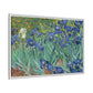 Van Gogh, Vincent - Irises (1889) - Matte Canvas, Framed
