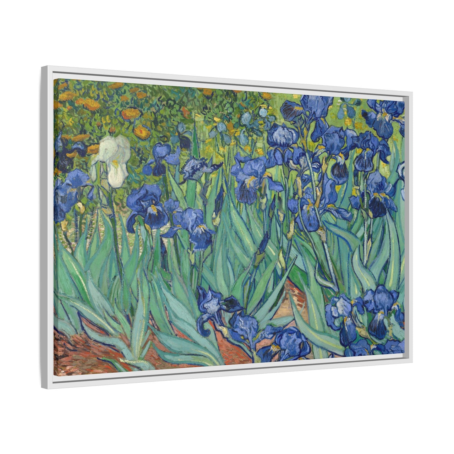 Van Gogh, Vincent - Irises (1889) - Matte Canvas, Framed