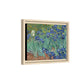 Van Gogh, Vincent - Irises (1889) - Matte Canvas, Framed