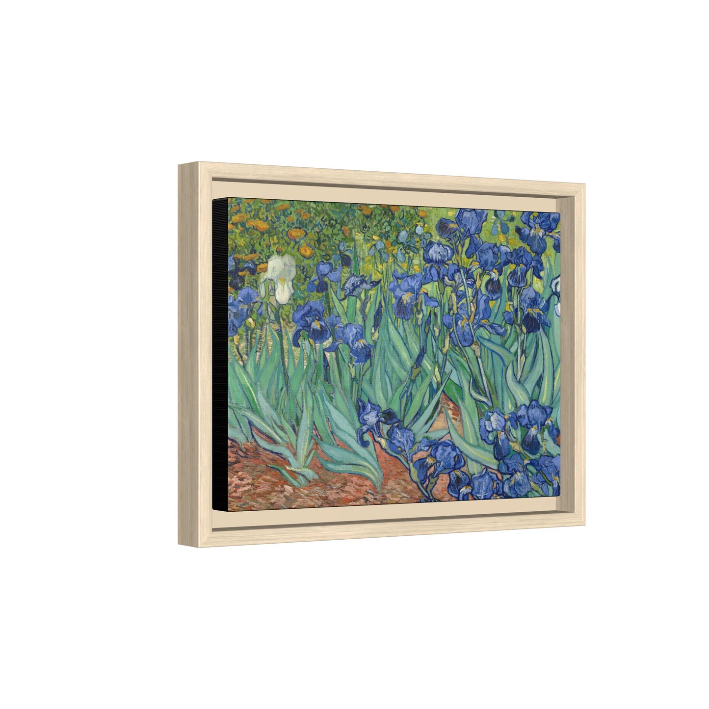 Van Gogh, Vincent - Irises (1889) - Matte Canvas, Framed