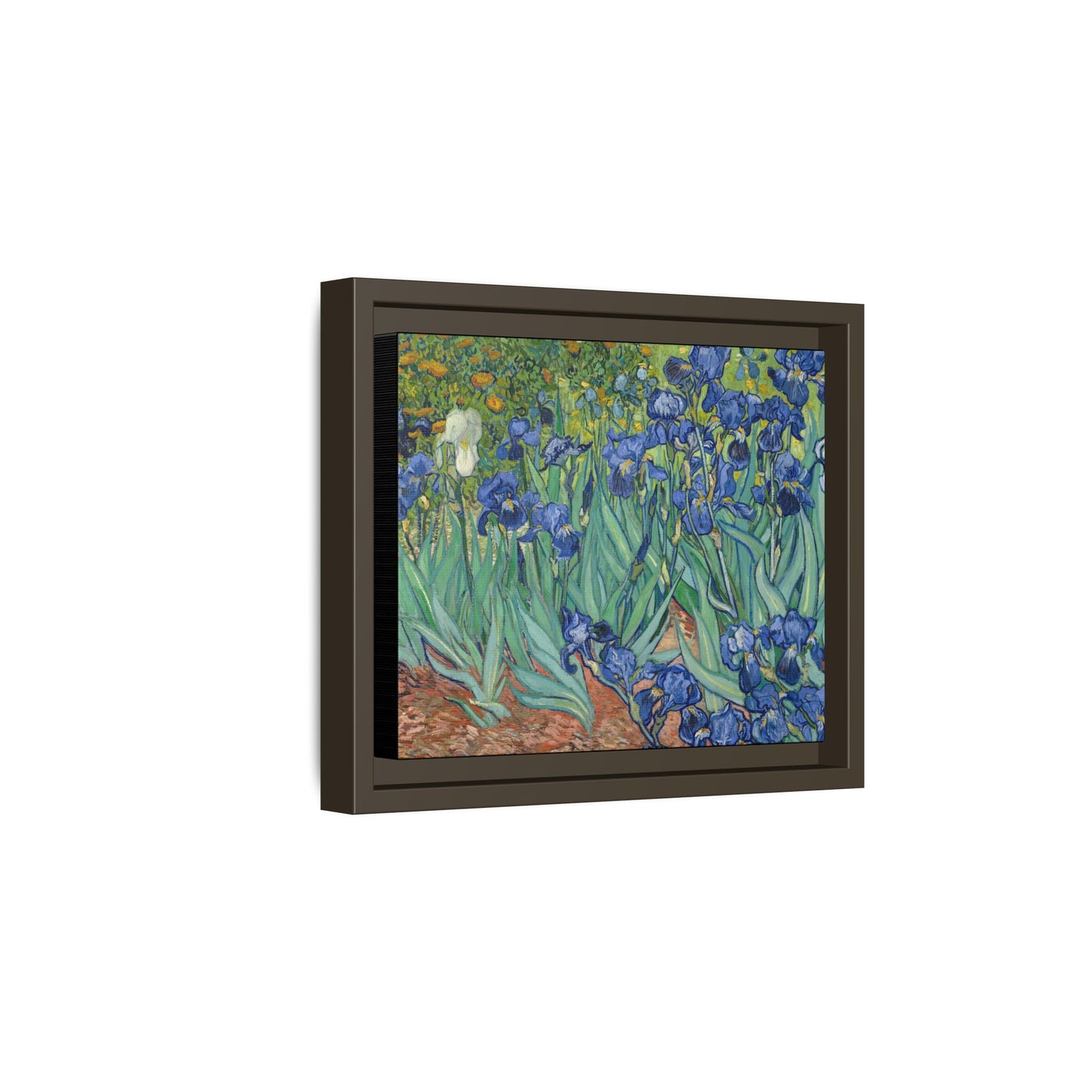 Van Gogh, Vincent - Irises (1889) - Matte Canvas, Framed