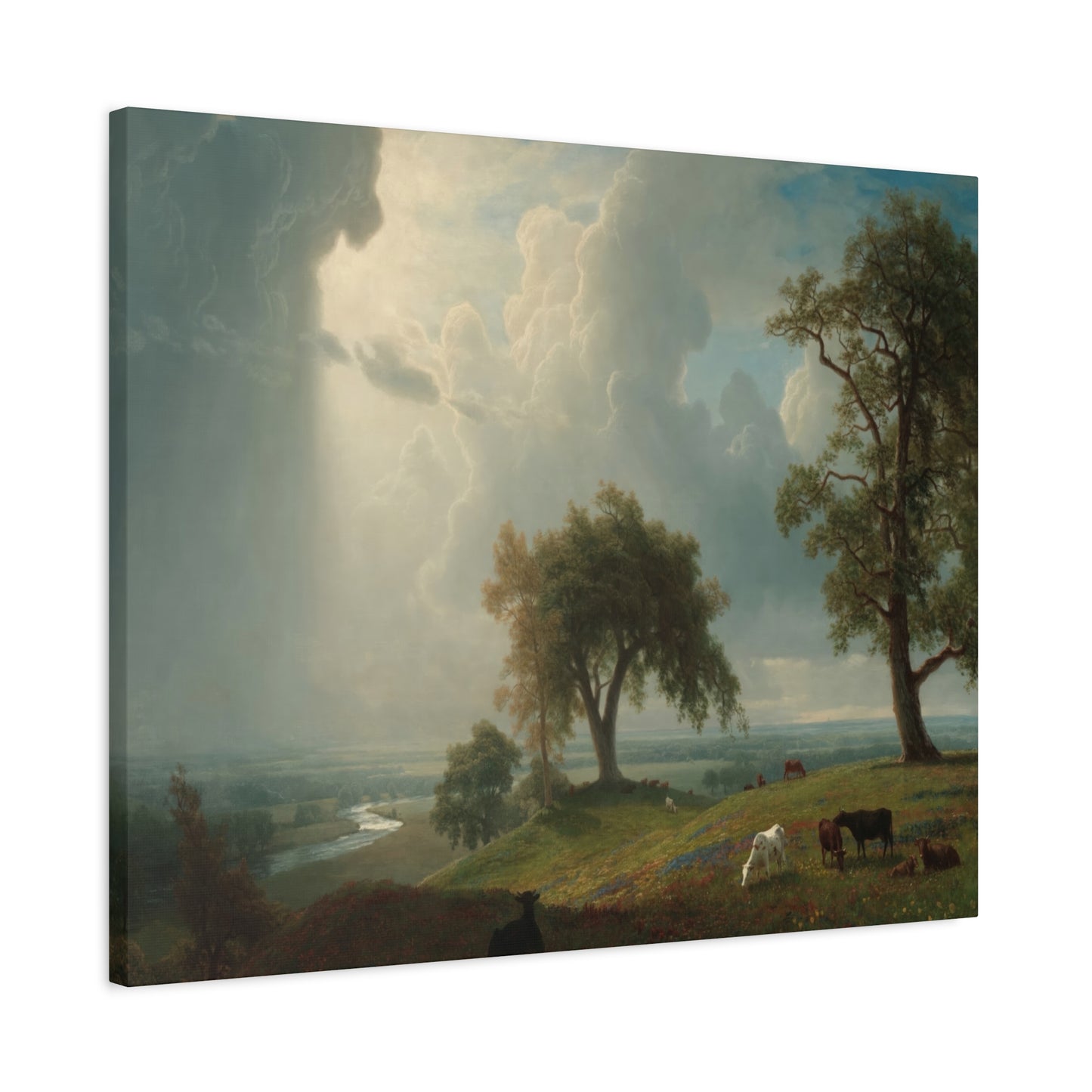 Bierstadt, Albert - California Spring (1875) - Canvas Block, unframed