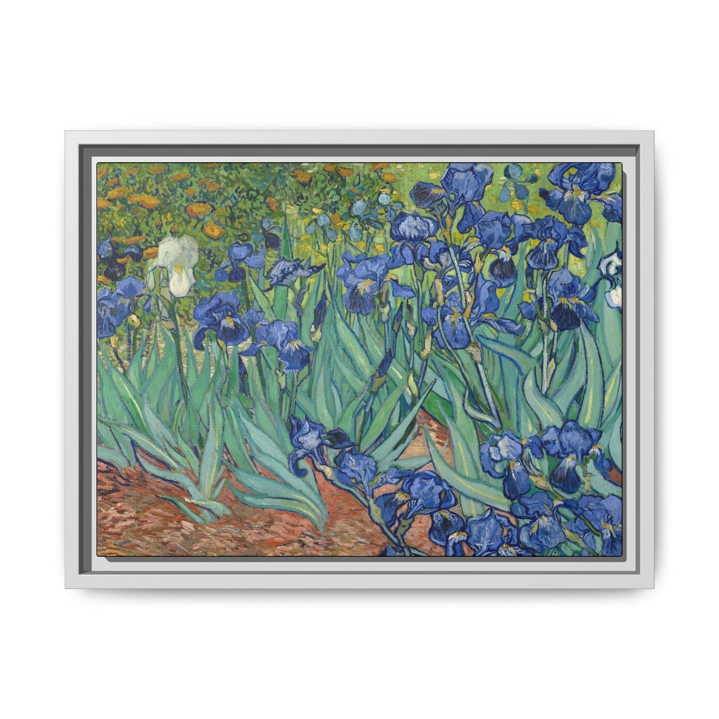 Van Gogh, Vincent - Irises (1889) - Matte Canvas, Framed