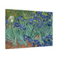 Van Gogh, Vincent - Irises (1889) - Canvas Block, unframed