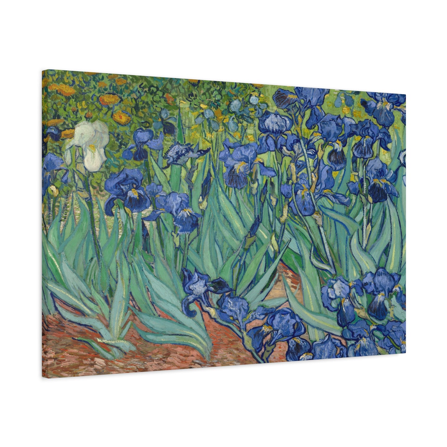 Van Gogh, Vincent - Irises (1889) - Canvas Block, unframed