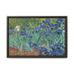 Van Gogh, Vincent - Irises (1889) - Matte Canvas, Framed