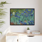 Van Gogh, Vincent - Irises (1889) - Matte Canvas, Framed